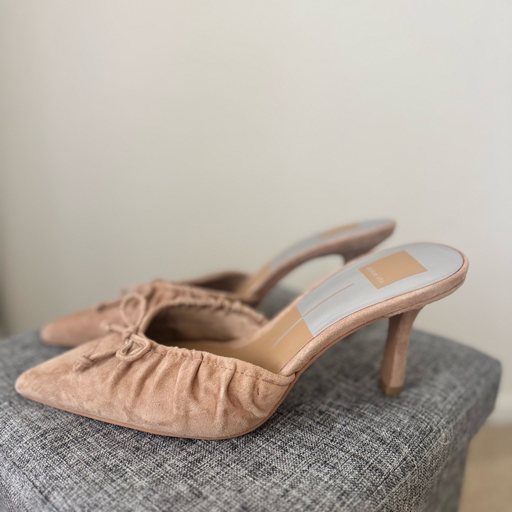 👠 Dolce Vita Suede Pointed-Toe Mules (Size 8.5)